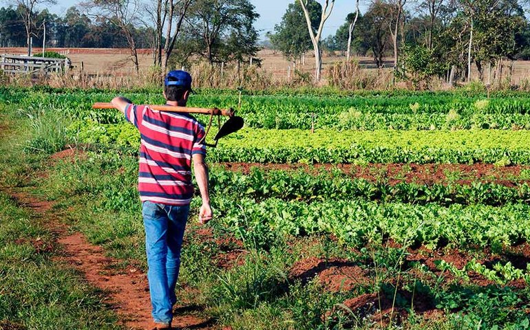 Projeto prevê órgão para gestão de mão de obra rural avulsa