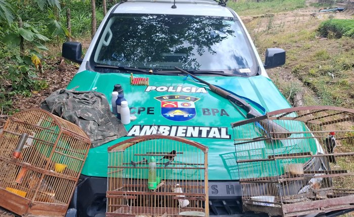 Policiais apreenderam três aves silvestres mantidas em cativeiro e uma espingarda de calibre 32