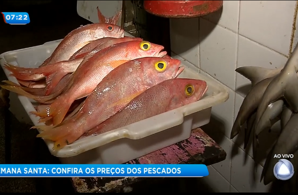 Peixe e camarão