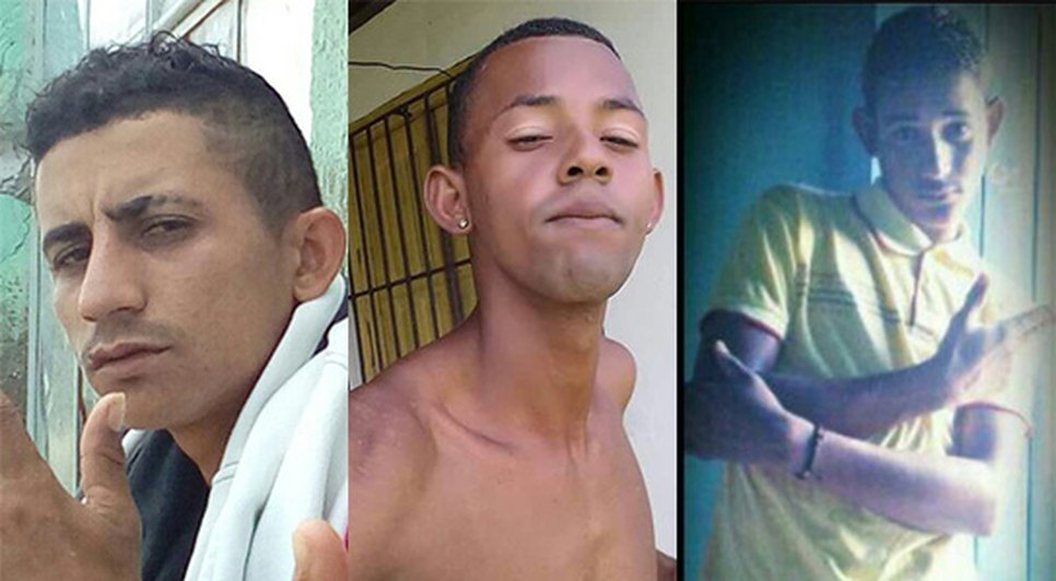 triplo homicídio