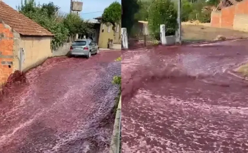 'Rio de vinho tinto' inunda ruas de Portugal após destilaria se romper; vídeo