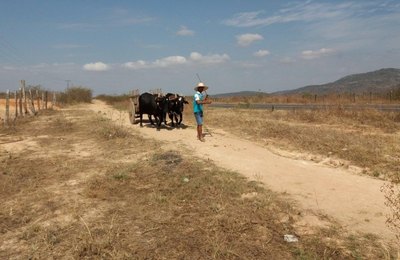 Alagoas sedia Seminário Internacional de Convivência com o Semiárido