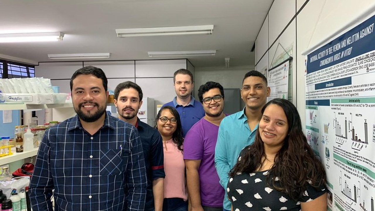 Pesquisadores da Ufal investigam potencial antiviral contra o vírus Chikungunya