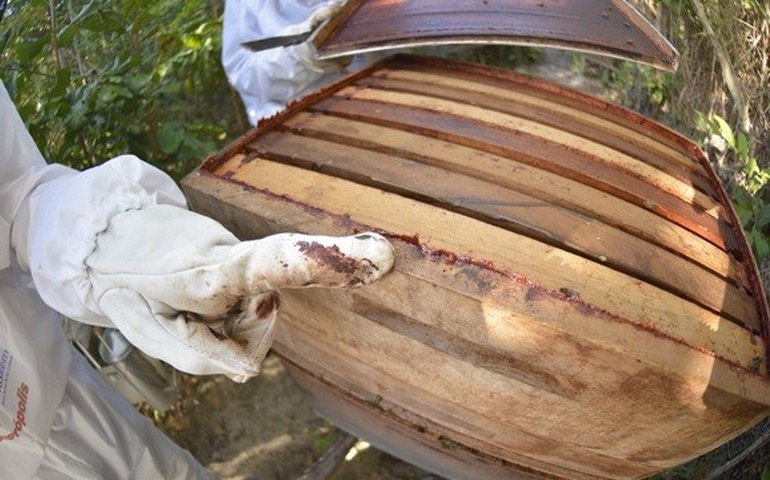 Empresas vão receber até R$499 mil para projetos inovadores