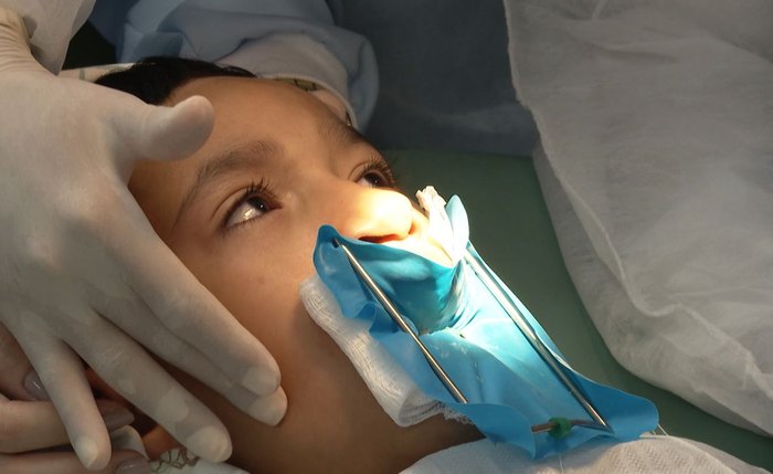 Estudo realizado em animais conseguiu demonstrar interação gene-ambiente