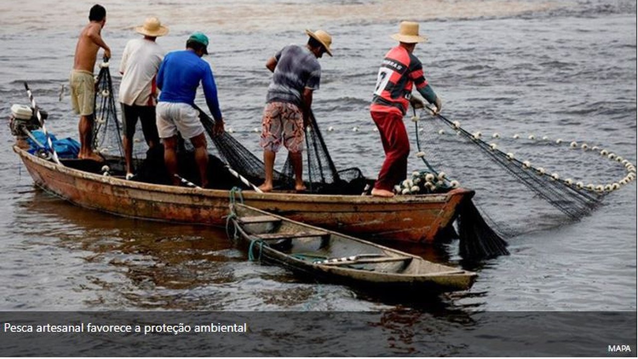 Do clima à reciclagem: avanços na agenda verde do Senado