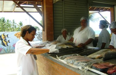 Vigilância Sanitária fiscaliza comércio de pescado em Maceió