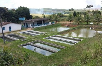 Seagri e município de Rio Largo retomam ações na área de aquicultura