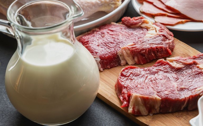 ABCZ vai ao MPF contra associação de angus por omitir presença de carne zebuína