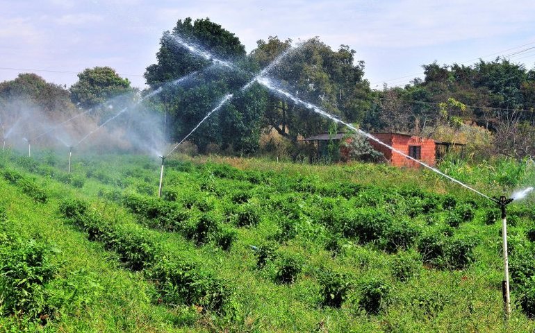 Projeto do governo amplia participação de cooperativas no mercado de seguros