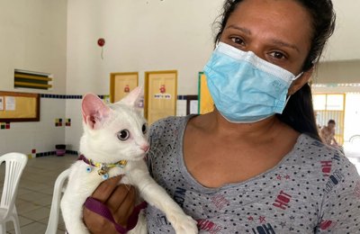 Meu Pet Amigo: mais de cem animais são cadastrados no primeiro dia de ação do castramóvel