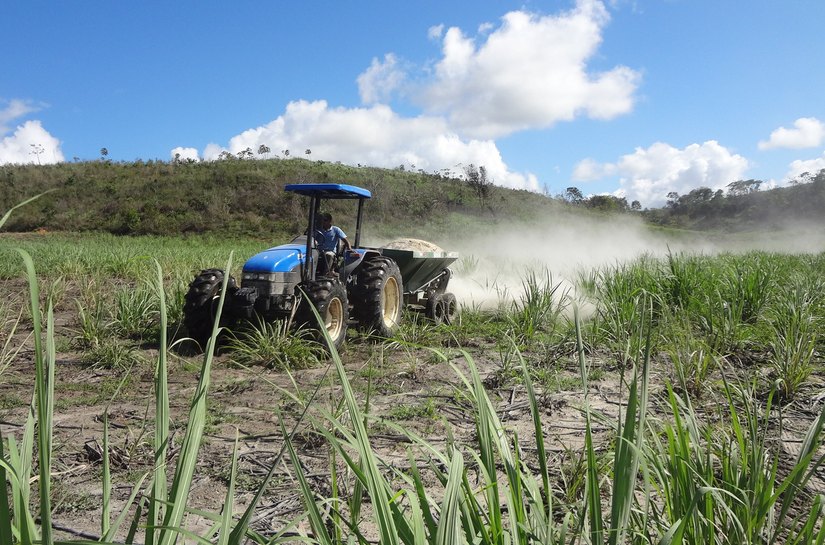 Prefeitura de Coruripe em parceria com Estado distribui sementes para pequenos agricultores