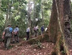 Fazenda Anacã (Fernão Penteado) (3).jpg 