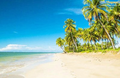 Praia do Patacho entre praias brasileiras aptas a receber selo Bandeira Azul 
