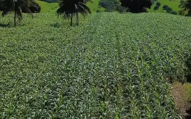 Segue para sanção projeto que facilita benefício a agricultor que perder safra