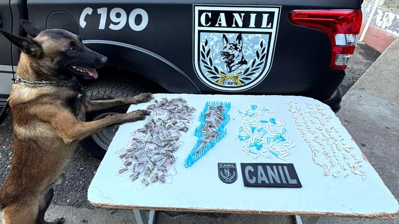 Com apoio de cão farejador, PM apreende maconha, crack e cocaína em Arapiraca