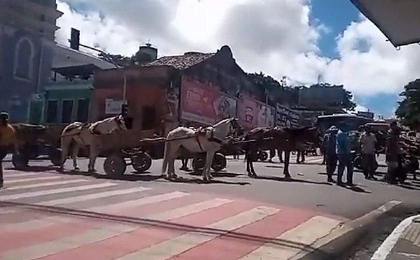 Carroceiros protestam contra apreensão de animais no Centro de Maceió