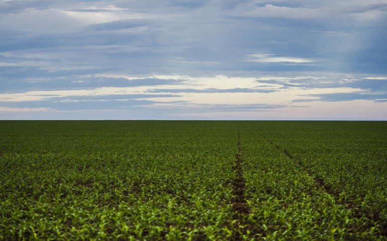 Fazenda estuda Fundo Garantidor para dívidas rurais