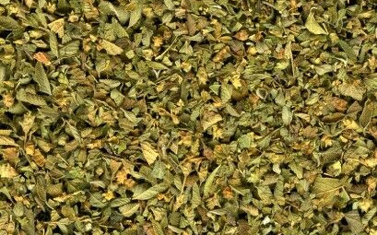 O tempero que estimula a produção de colágeno e fortalece as articulações