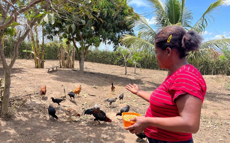 Há 13 anos, Emater atua dando assistência e desenvolvendo agricultura familiar em Alagoas