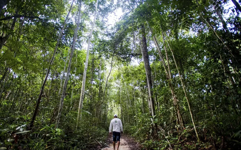 Censo do patrimônio da União incluirá de prédios públicos a reservas naturais, diz IBGE