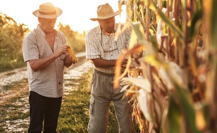 Agricultores familiares terão acesso aos recursos integrais do benefício este mês
