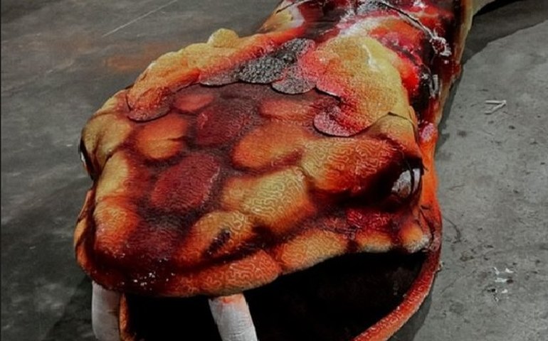 Coreógrafo mostra bastidores de como funcionava a estrutura da cobra da Viradouro; veja