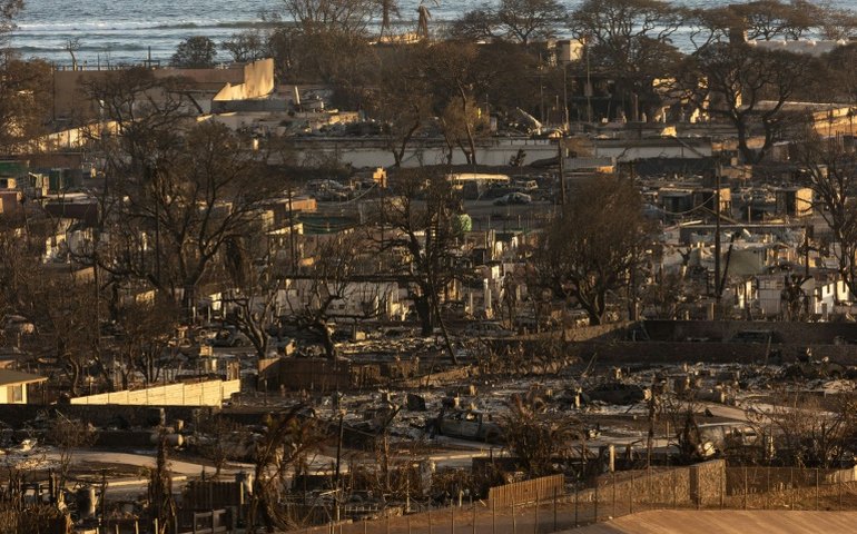 Autoridades temem encontrar diariamente '10 ou 20 corpos' após incêndio no Havaí
