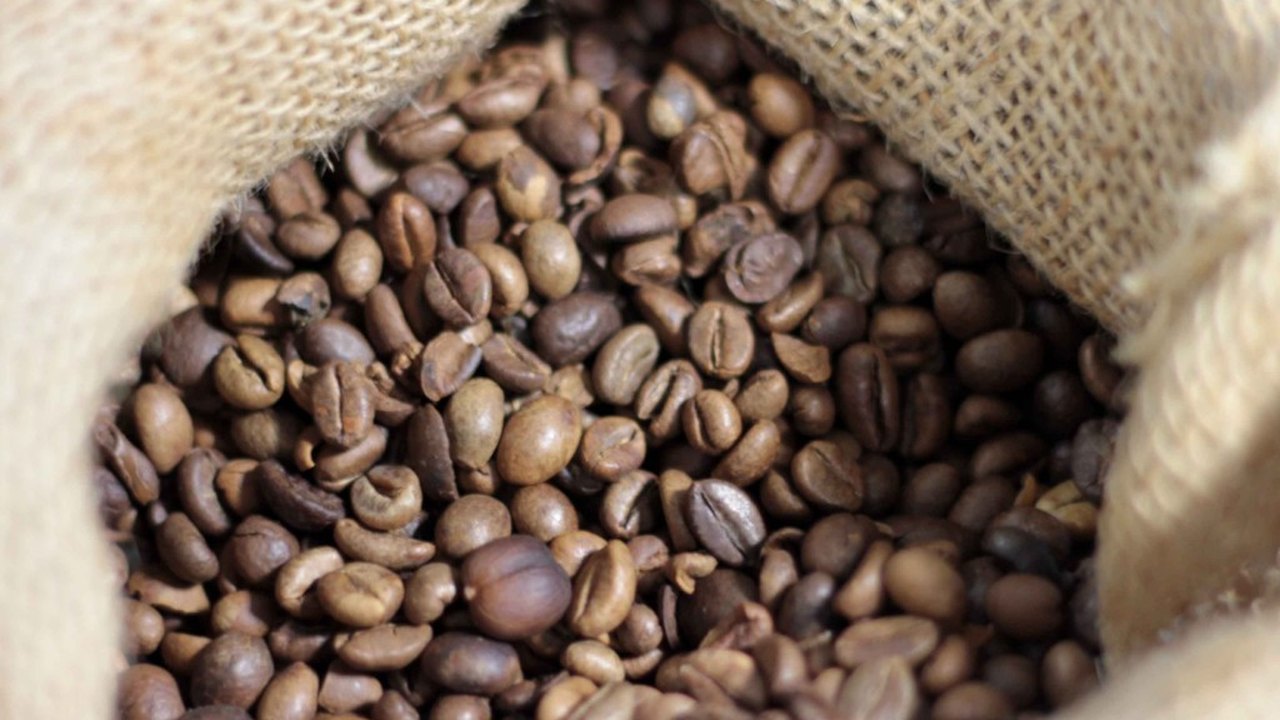Mercado de cafés especiais cresce em Alagoas