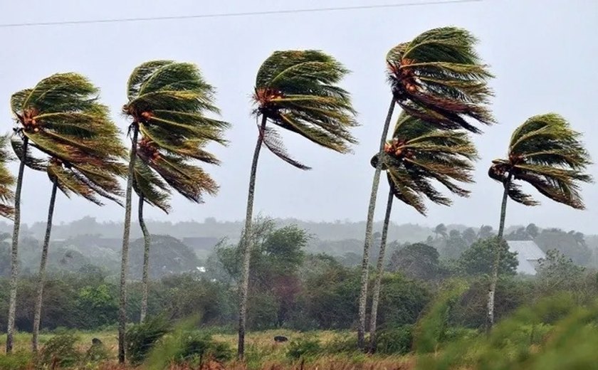 Vento Nordeste: rajadas podem chegar a 60km/h até a noite deste domingo