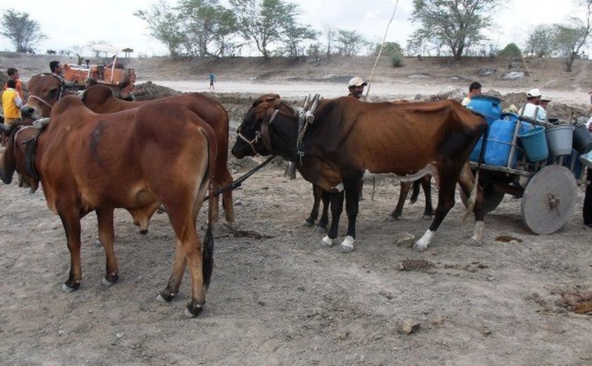 Estiagem leva Estado a decretar situação de emergência em 36 municípios