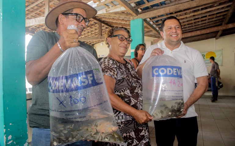 Prefeitura de Penedo distribui 24 mil alevinos para produtores de baixa renda