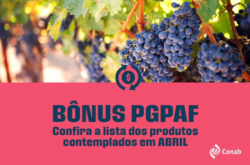 Conab amplia produtos agrícolas que têm redução nas parcelas do Pronaf