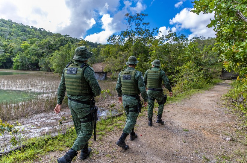 Polícia Militar resgata jaguatirica em área urbana no município de Penedo