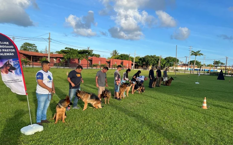 Encontro de Pastor Alemão, no Parque da Pecuária, reunirá os melhores cães da raça em Alagoas