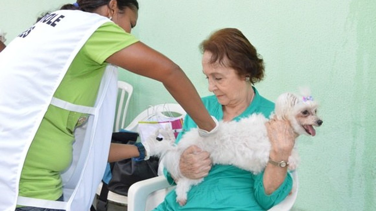 Secretaria de Saúde e municípios realizam Dia D de Vacinação Antirrábica