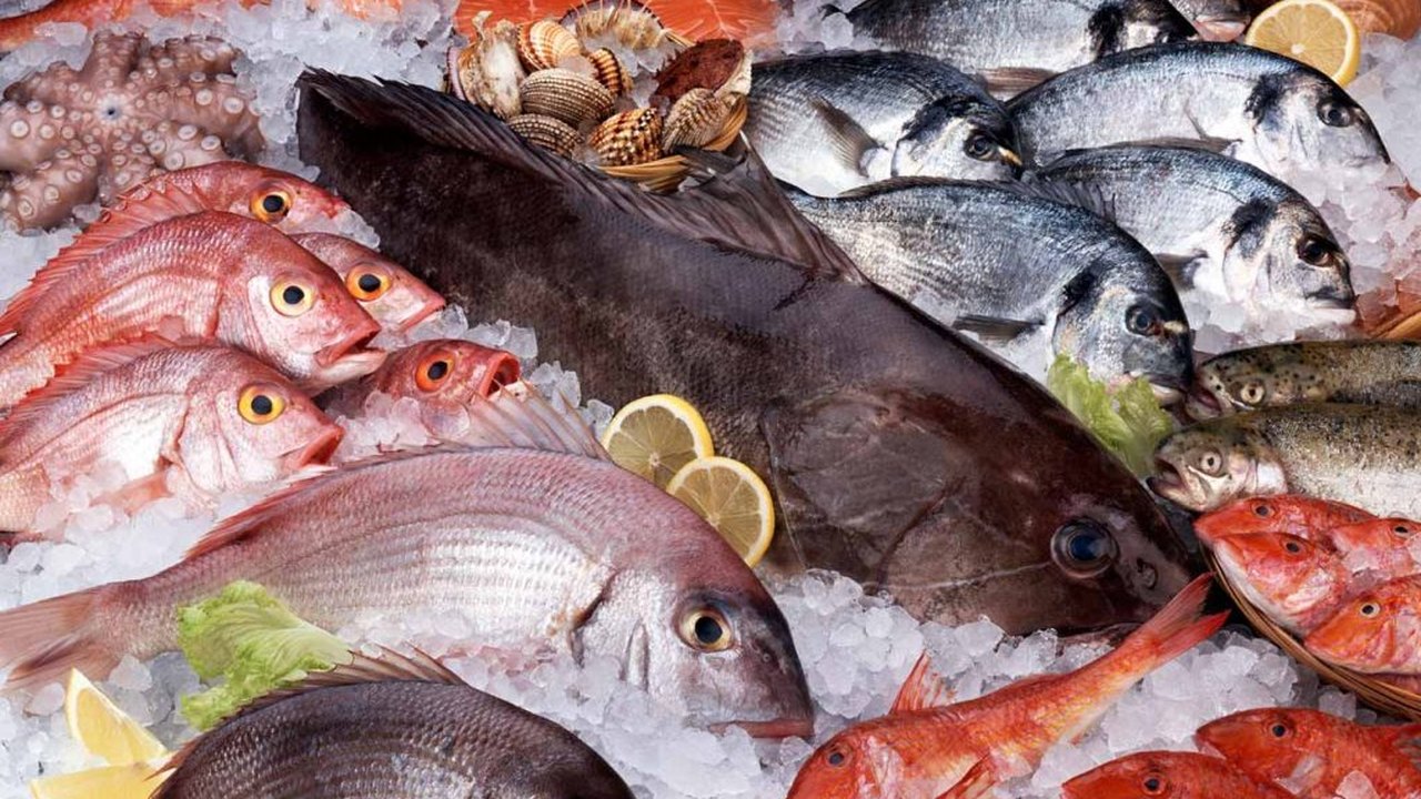 Tradicional Feira do Peixe Vivo gera renda e oferece qualidade dos produtos