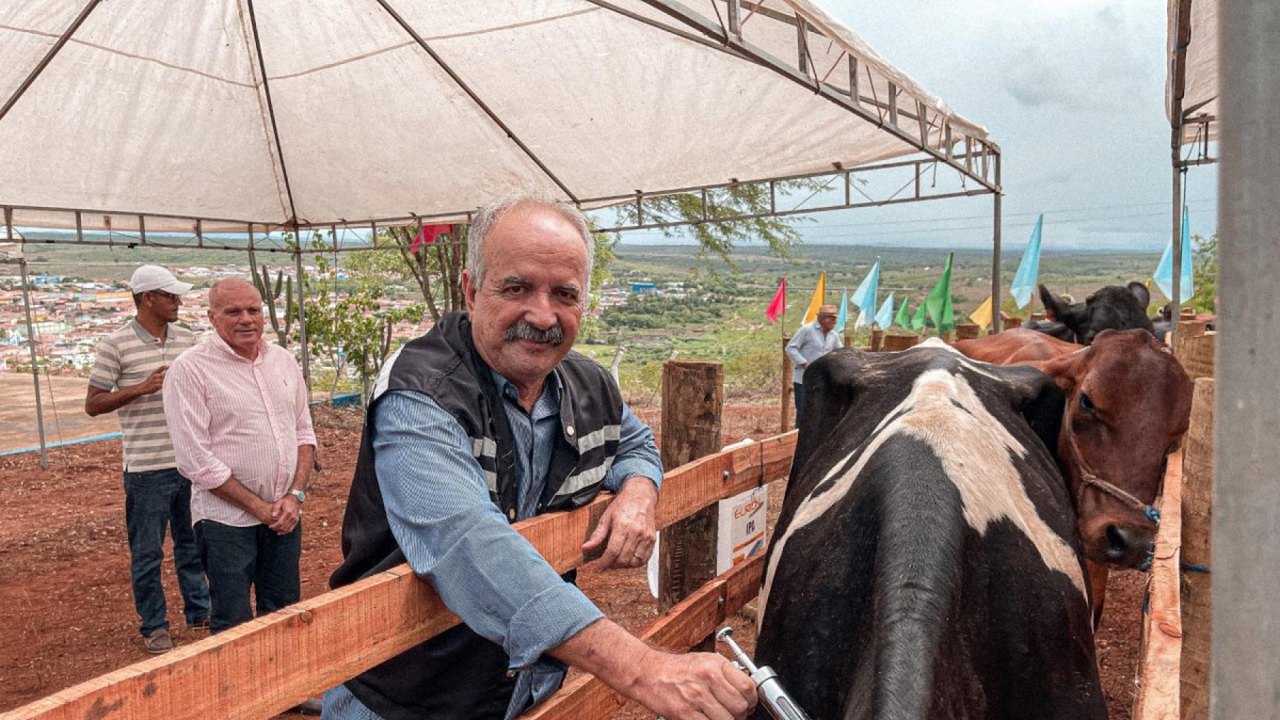Adeal inicia oficialmente a camapanha vacinação contra Aftosa de 2022