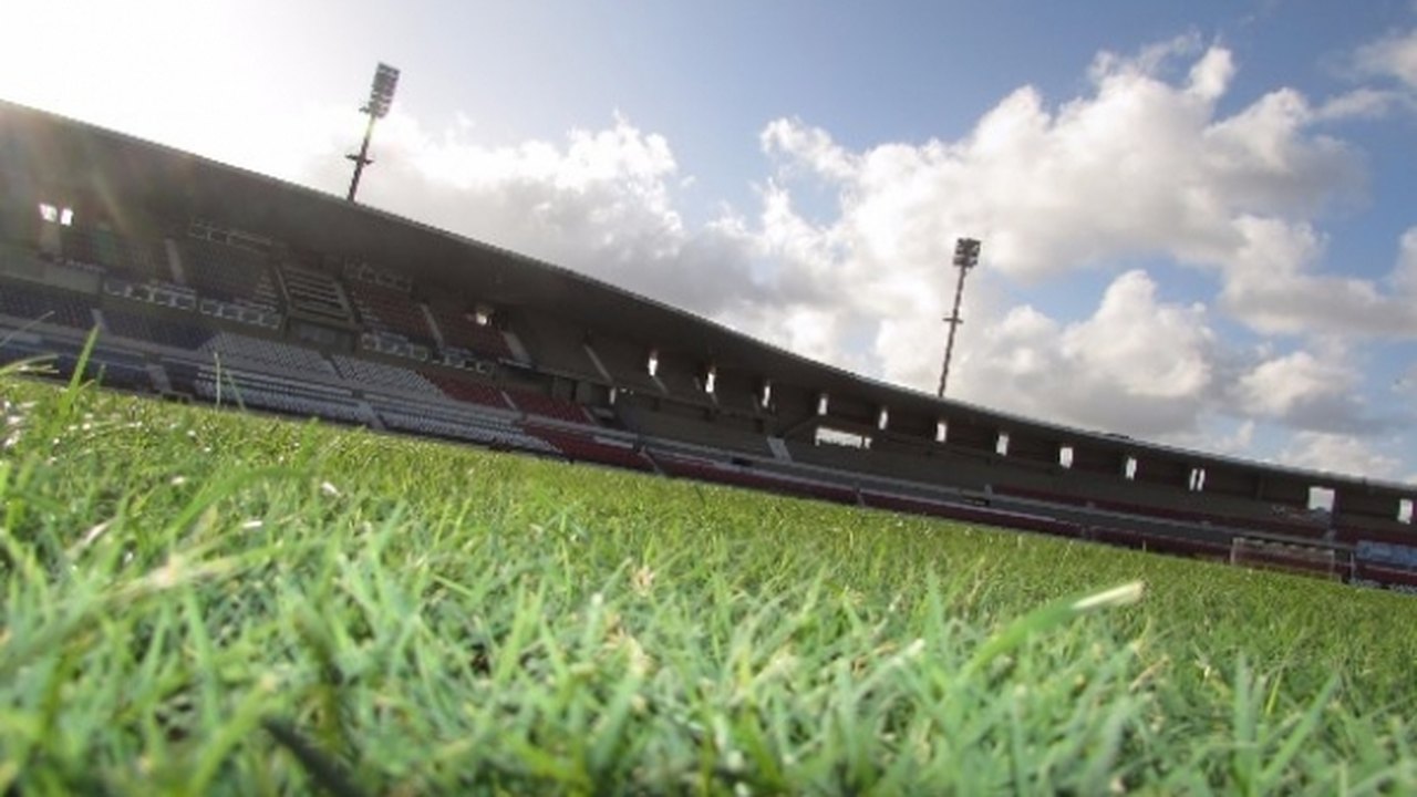 Gramado do Estádio Rei Pelé passará por melhorias em dezembro