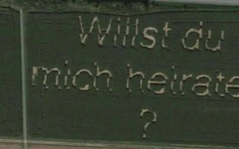 Pedido de casamento em milharal na Alemanha aparece no Google Maps