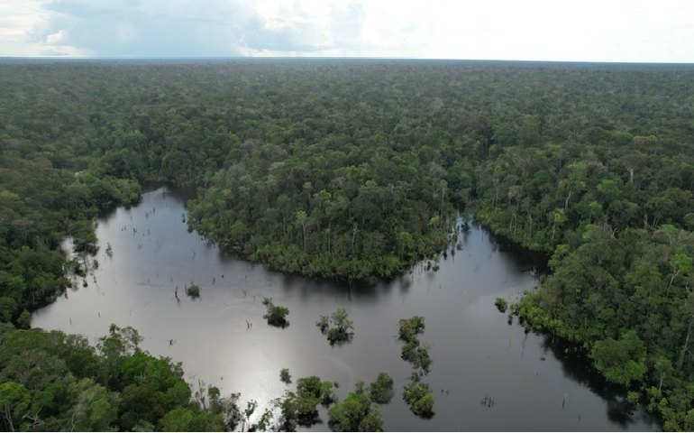 Agricultura autoriza concessões em duas florestas nacionais da Amazônia