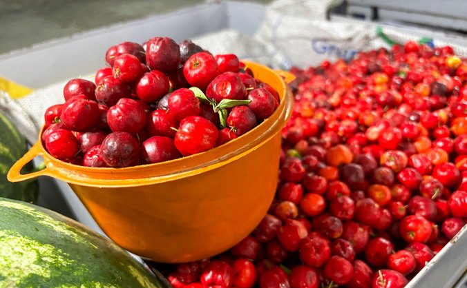 Circuito tem como objetivo fortalecer a produção local, gerar renda e fomentar a economia solidária no estado