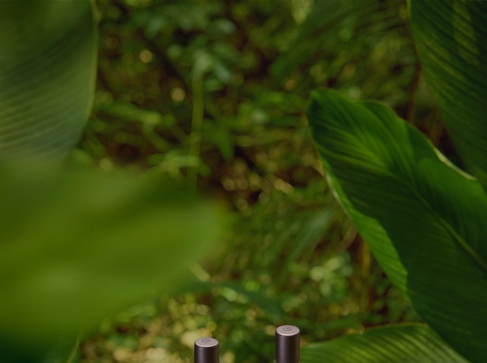 Natura Ekos lança nova linha Banho de Cheiro como um convite a novos rituais de bem-estar