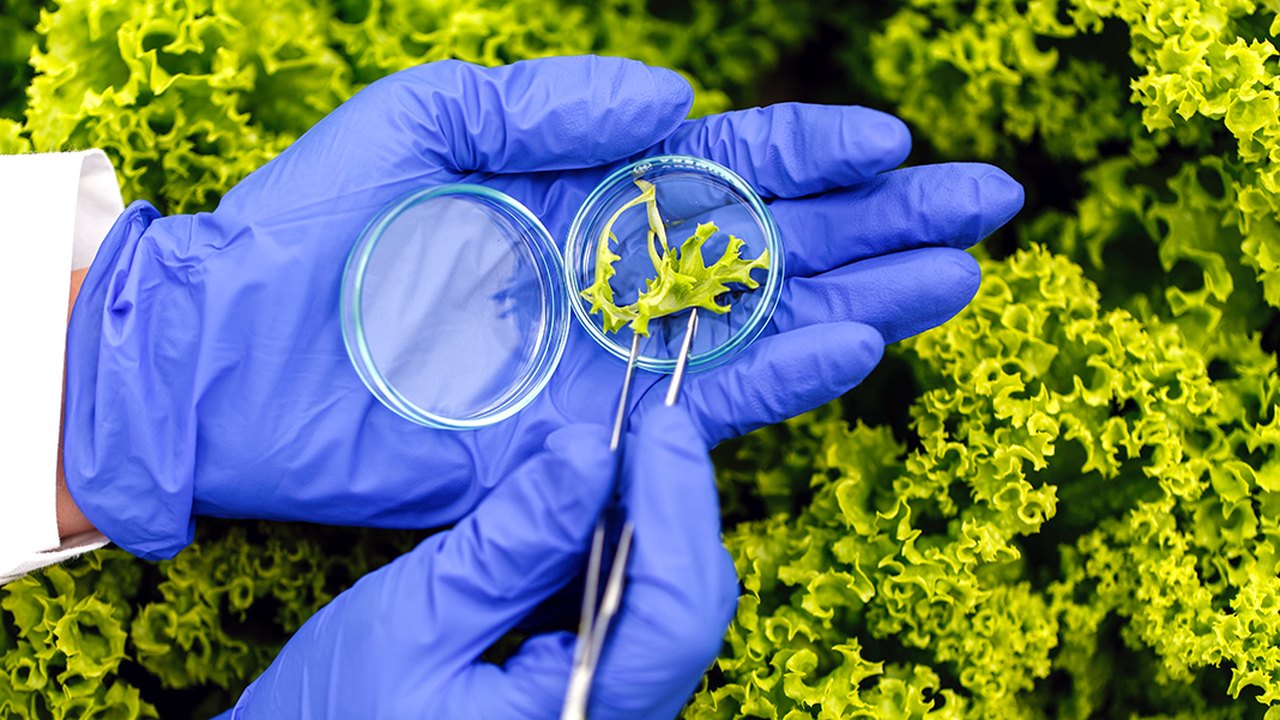 Governo lança política para incentivar o uso de bioinsumos