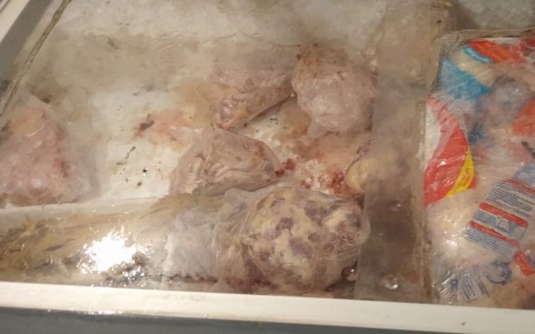 Vigilância Sanitária interdita avícola e apreende quase meia tonelada de alimentos no Jacintinho