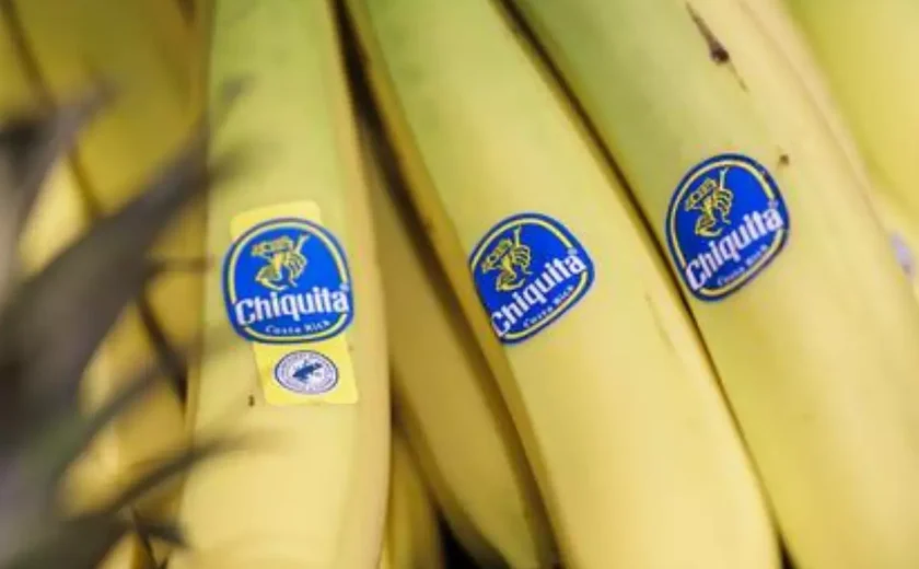 Chiquita Brands é condenada por financiar grupo paramilitar AUC da Colômbia