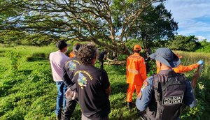 Corpo em estado avançado de decomposição é encontrado na Zona Rural de Maruim