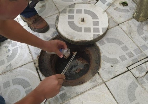 Casos de picadas por escorpiões crescem em Maceió e autoridades reforçam alerta à população