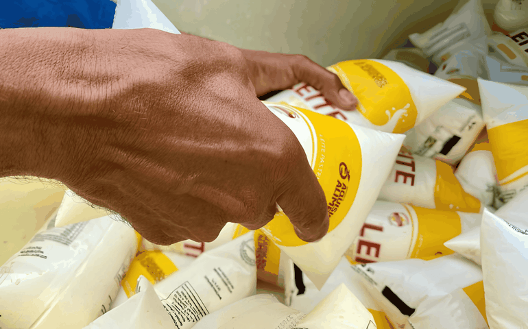 Programa do Leite é retomado em Penedo, beneficiando mais de duas mil famílias