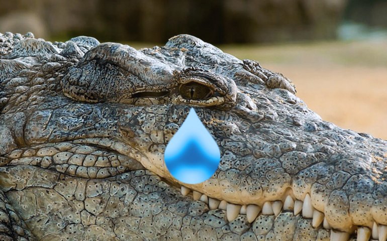 A inauguração do açude e as lágrimas de crocodilo